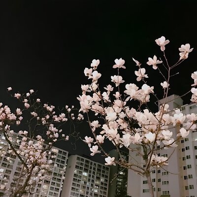 fadinglight - flowers