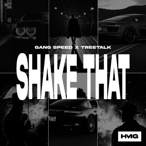 Gang Speed & Treetalk - Shake That