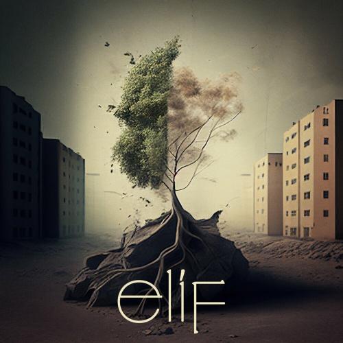 Gökhan Türkmen & Serkan Emre Çiftçi - Elif