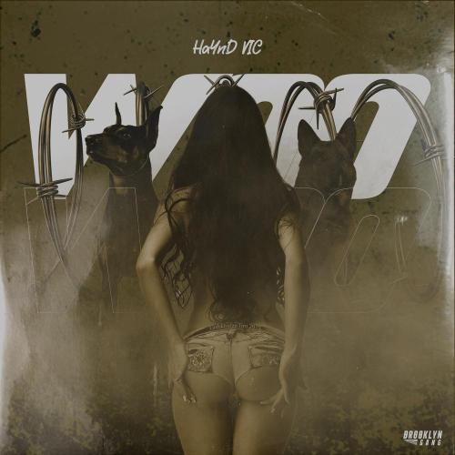 HaYnD VIC - Woo