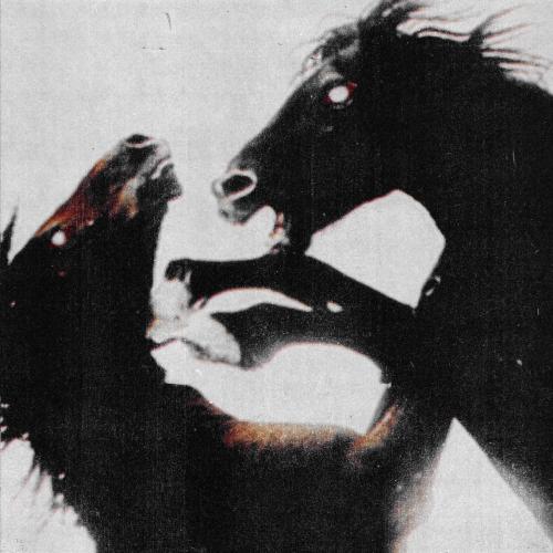 Holywatr - Give Me A Show