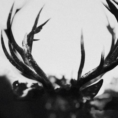 Ihsahn - Pilgrimage To Oblivion