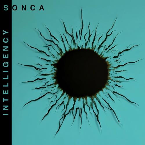 Intelligency - Sonca