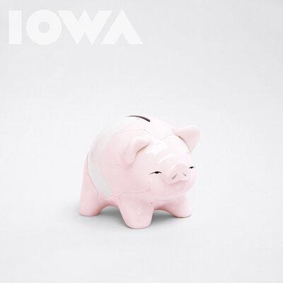 IOWA - Свинка-Копилка