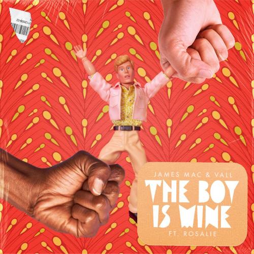 James Mac & Vall - The Boy Is Mine (feat. Rosalie)