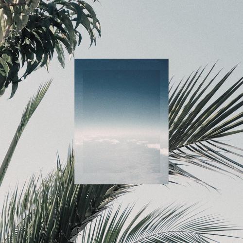 Jinsang - Never Know
