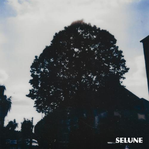 Joura & Temeraire - Selune