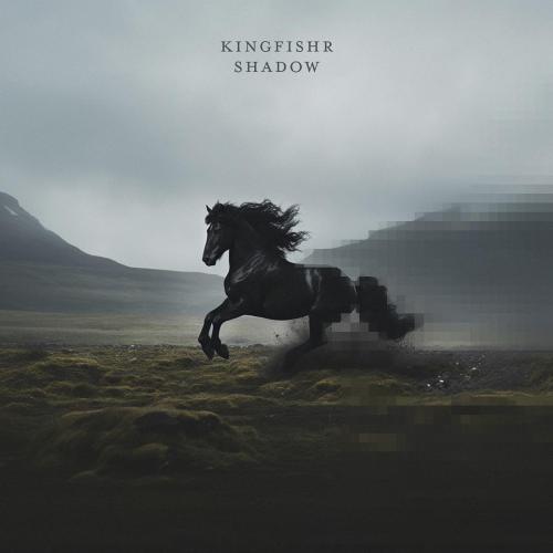 Kingfishr - Shadow