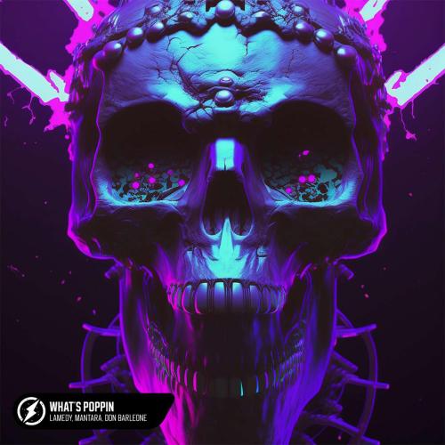 Lamedy, Mantara & Don Barleone - What's Poppin