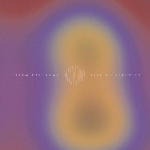 liam callahan - Veil of Serenity