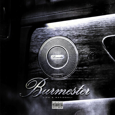 LIKO, hatikoali - Burmester