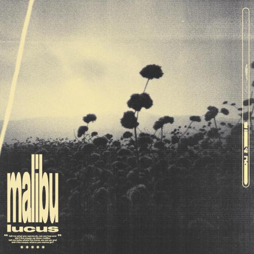 Lucus - Malibu