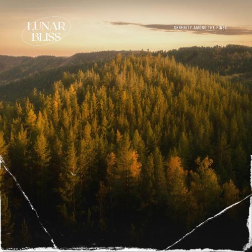 Lunar Bliss - Serenity Among the Pines