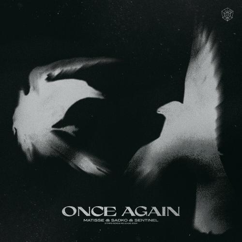 Matisse & Sadko & Sentinel - Once Again
