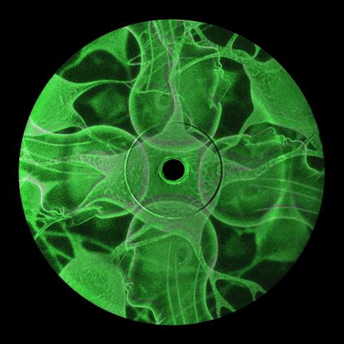 Meg Ward - Connections