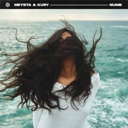 MEYSTA feat. Kury - Numb