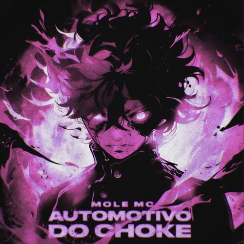 MOLE MC - AUTOMOTIVO DO LAG