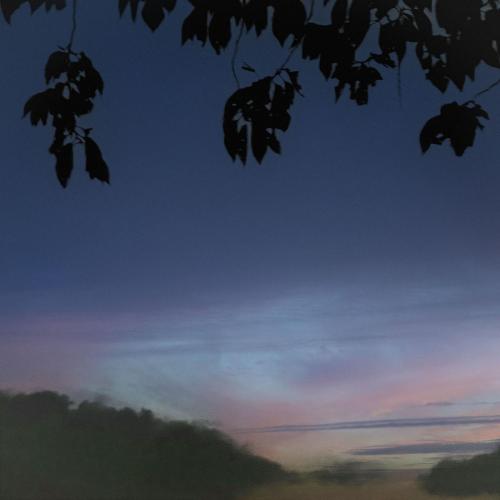 Mondo Loops & Casiio - The Forest Sleeps