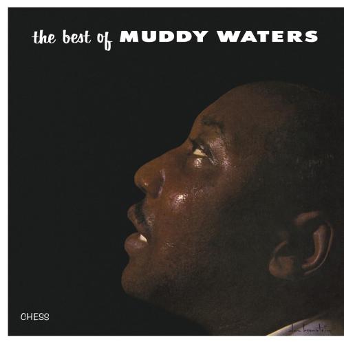 Muddy Waters - I Can't Be Satisfied