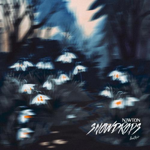 n3wton - Snowdrops