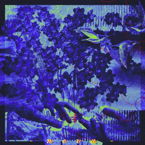 Neva - Aklın Neredeydi