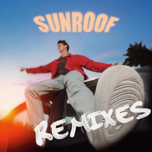 Nicky Youre & Dazy - Sunroof
