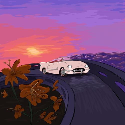 Nvsh - Summer Nights
