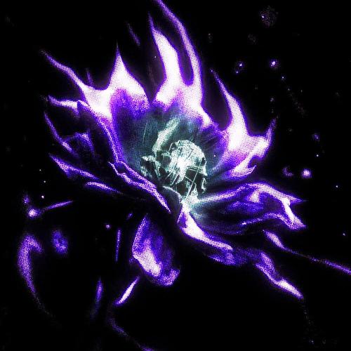 Nxppy, TRXSHBXY - PURE