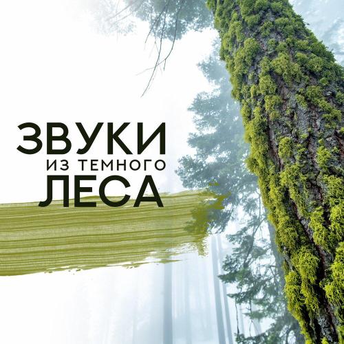 Оптимальный Релакс Проект - Для сна