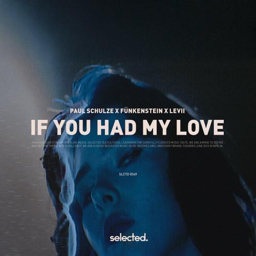 Paul Schulze - If You Had My Love