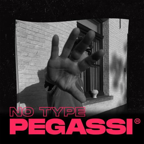 Pegassi - No Type