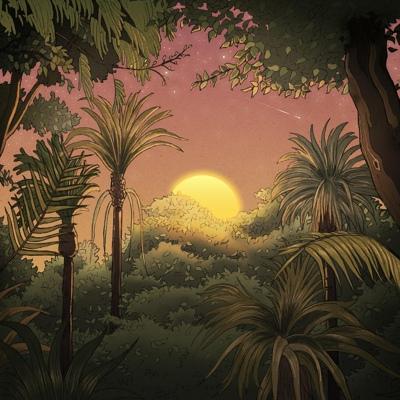 Phlocalyst, cocabona - Image