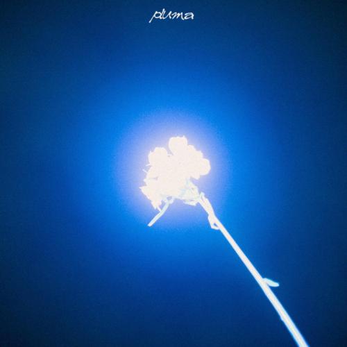 PLUMA - Corrida!