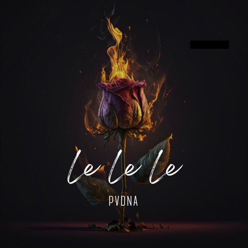 PVNDA - Le Le Le