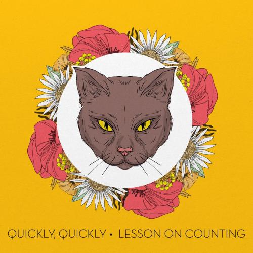 quickly - Lesson on Counting