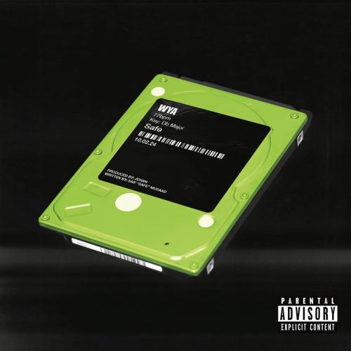 SAFE - WYA