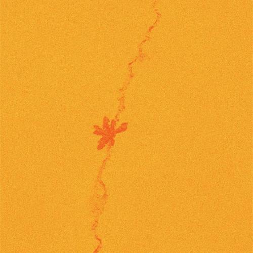 sagun - rains
