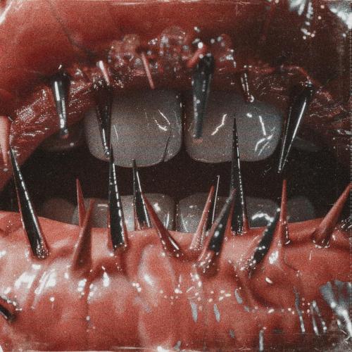 Saltwound - Blight