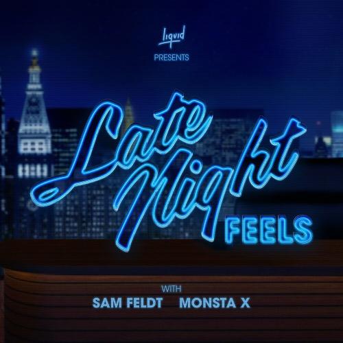 Sam Feldt feat. Monsta X - Late Night Feels