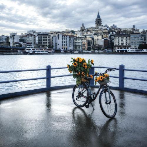 Sefo - Yine Seni Severdim