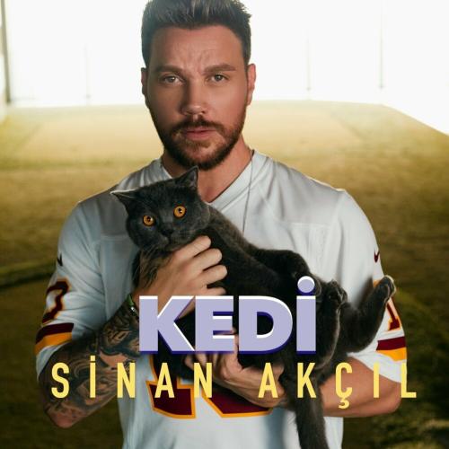 Sinan Akçıl - Kedi