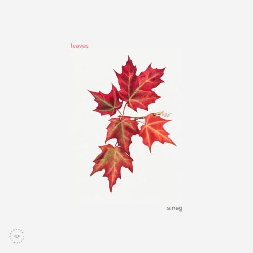 Sineg - Leaves