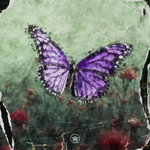 Sink With ME - Stranger