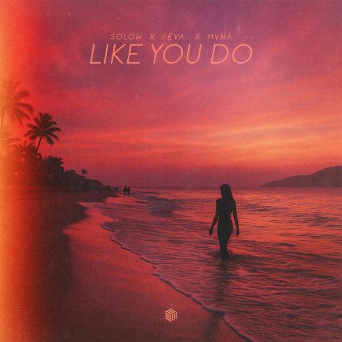 Solow - Like You Do