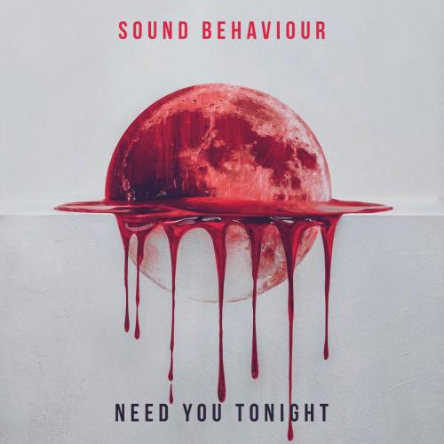 Sound Behaviour - Need You Tonight