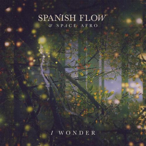 Spanish Flow & Space Afro - I Wonder (Balearic Mix)
