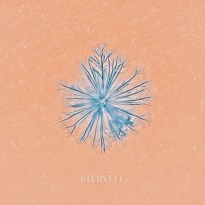 Stervell - Персиковый Снег