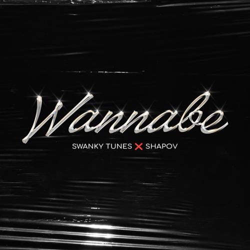 Swanky Tunes feat. Shapov - Wannabe