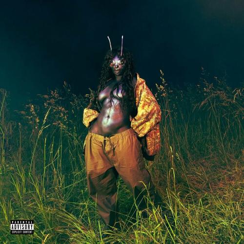 SZA - What Do I Do