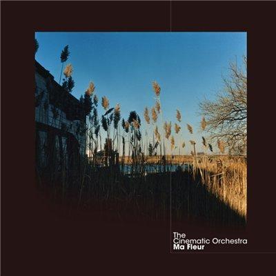 The Cinematic Orchestra - To Build A Home (из фильма «Шаг вперёд 4»)